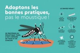 Flyer Moustique tigre.jpg